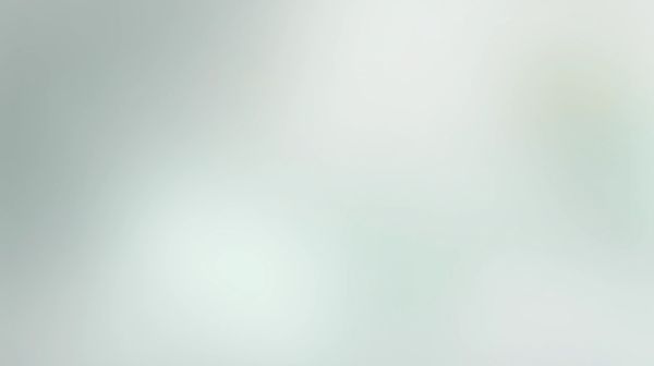 désinfectant aliments deterquat al avec Best Hygiène