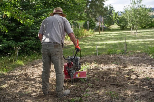 Location de motoculteur : la solution pour un jardin réussi !